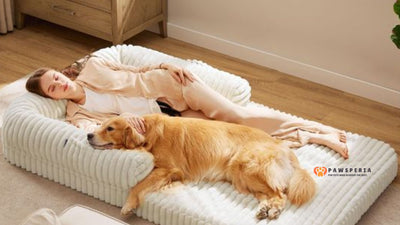 The Ultimate Guide to Choosing the Perfect Orthopedic Bed for Your Pet in 2024