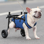 Adjustable Small Dog Wheelchair