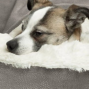 Orthopedic Winter Dog & Cat Bed