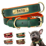 Customized Leather ID Dog Collar with Padded Comfort