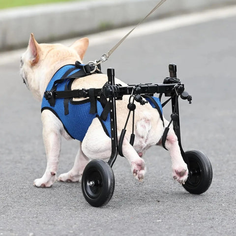 Adjustable Small Dog Wheelchair