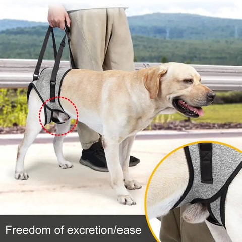 Elastic Dog Support Harness