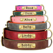 Customized Leather ID Dog Collar with Padded Comfort