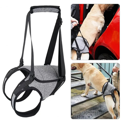 Elastic Dog Support Harness